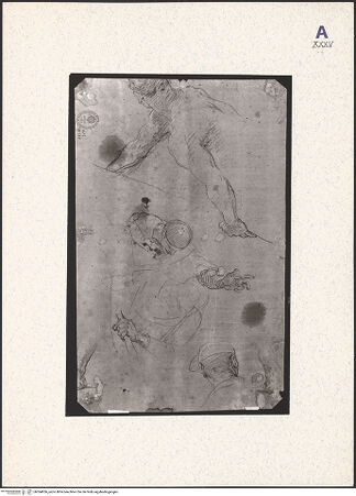 Vorderseite von bh364056_recto