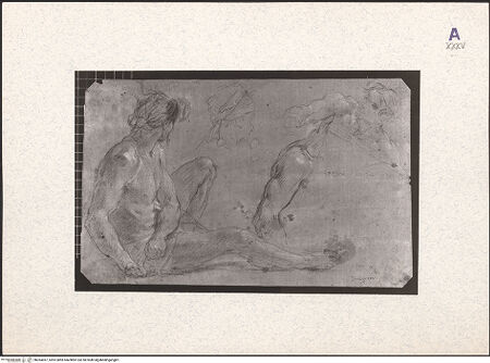 Vorderseite von bh364057_recto