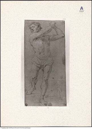 Vorderseite von bh364058_recto