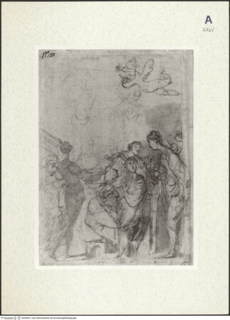 Vorderseite von bh364061_recto