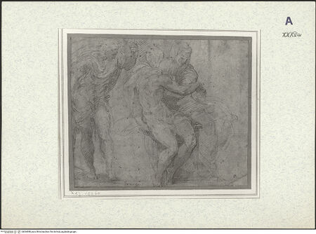 Vorderseite von bh364080_recto