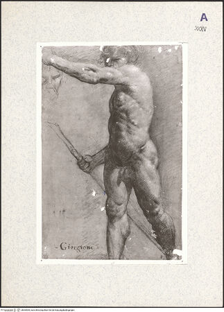 Vorderseite von bh364084_recto