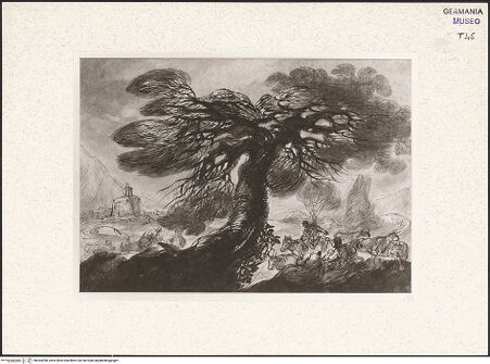 Vorderseite von bh364098_recto