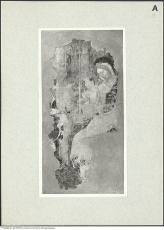 Vorderseite von bh364355_recto