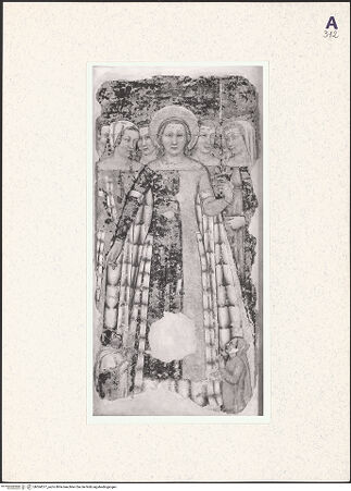 Vorderseite von bh364377_recto