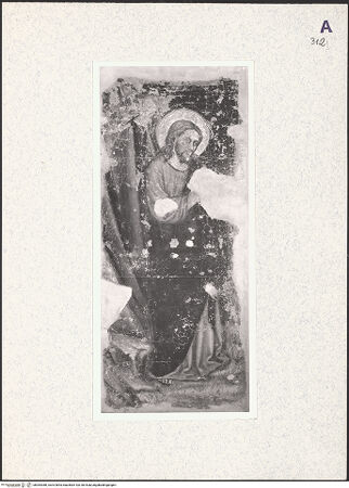 Vorderseite von bh364388_recto