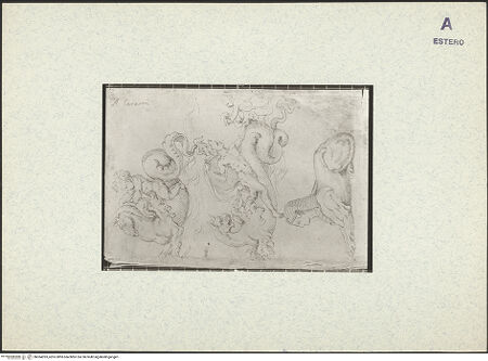 Vorderseite von bh364393_recto