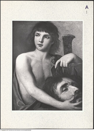 Vorderseite von bh364500_recto