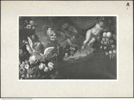 Vorderseite von bh364536_recto