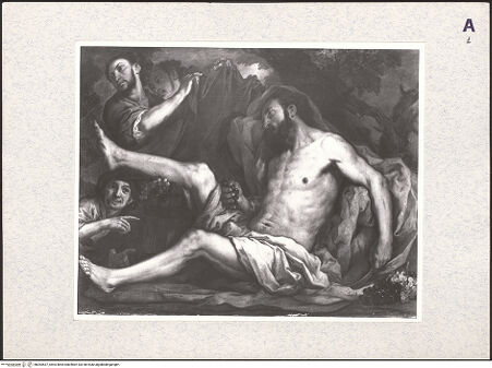 Vorderseite von bh364537_recto