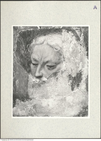 Vorderseite von bh364539_recto