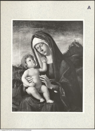 Vorderseite von bh364541_recto