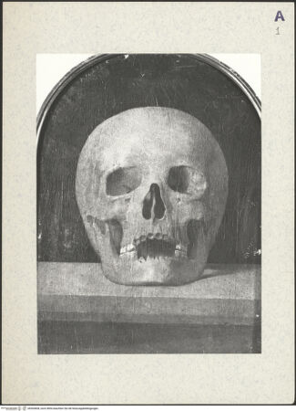 Vorderseite von bh364608_recto