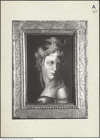 Vorderseite von bh364619_recto