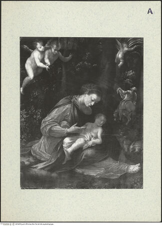 Vorderseite von bh364636_recto