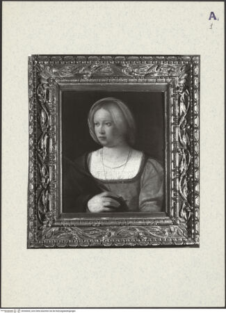 Vorderseite von bh364650_recto