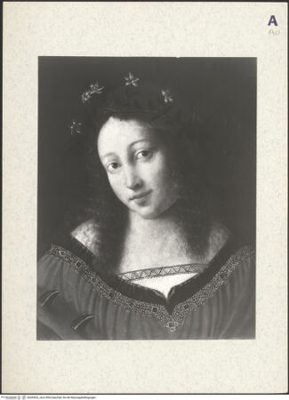 Vorderseite von bh364652_recto