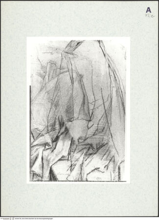 Vorderseite von bh364730_recto