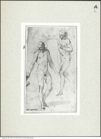 Vorderseite von bh364747_recto