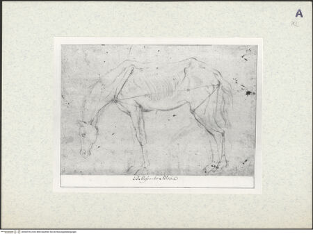 Vorderseite von bh364749_recto