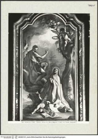 Vorderseite von bh365101_recto