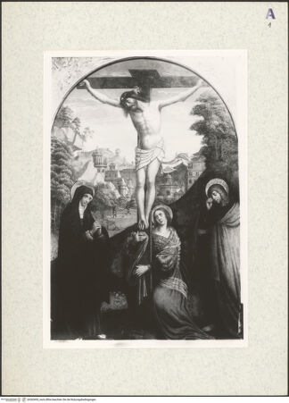 Vorderseite von bh365493_recto