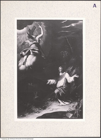 Vorderseite von bh365494_recto