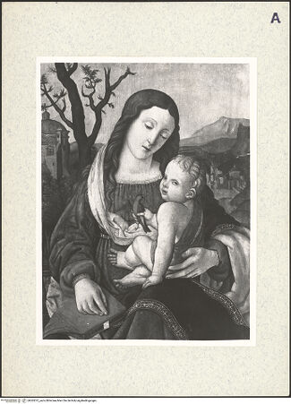 Vorderseite von bh365512_recto