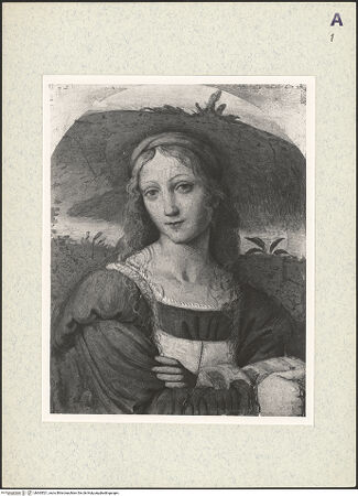 Vorderseite von bh365521_recto