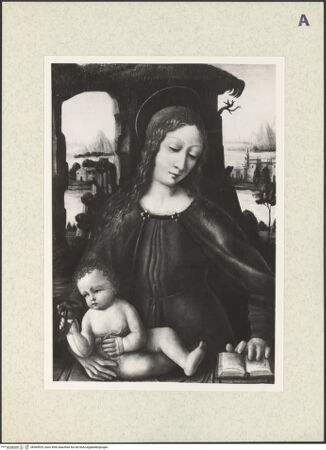 Vorderseite von bh365529_recto