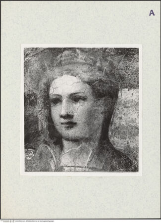 Vorderseite von bh365530_recto