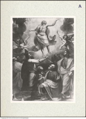 Vorderseite von bh365534_recto