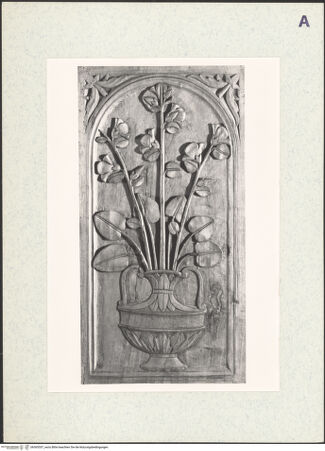 Vorderseite von bh365557_recto