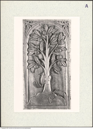 Vorderseite von bh365558_recto