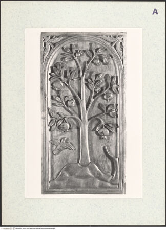 Vorderseite von bh365559_recto