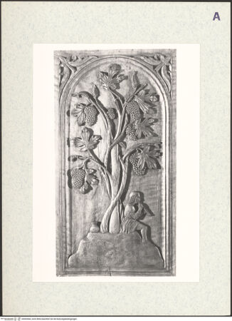 Vorderseite von bh365560_recto