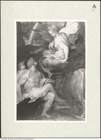 Vorderseite von bh365562_recto