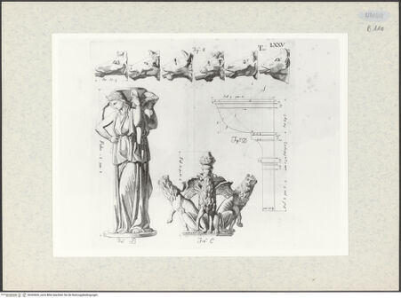 Vorderseite von bh365626_recto