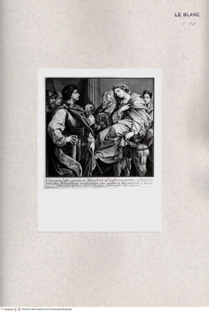 Vorderseite von Albertina [http://creativecommons.org/publicdomain/mark/1.0/] David und Abigail - , bh365763. Foto.