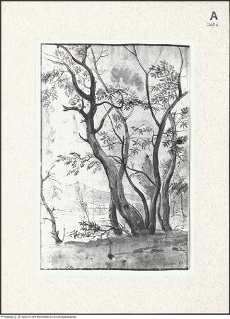 Vorderseite von bh365795_recto