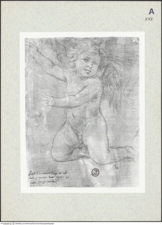 Vorderseite von bh366022_recto