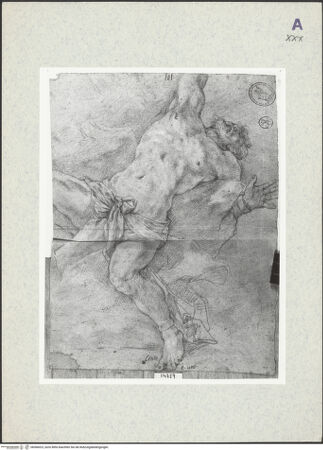 Vorderseite von bh366023_recto