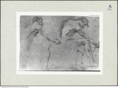 Vorderseite von bh366024_recto