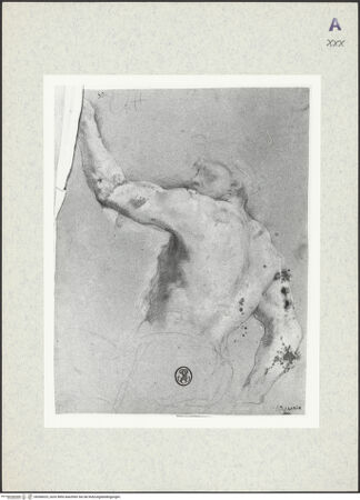 Vorderseite von bh366025_recto