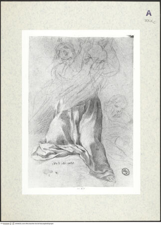 Vorderseite von bh366026_recto