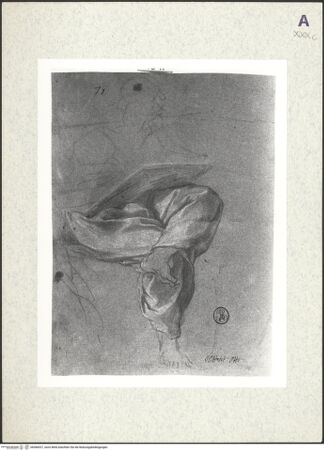 Vorderseite von bh366027_recto