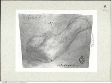 Vorderseite von bh366033_recto