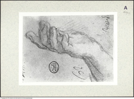 Vorderseite von bh366034_recto