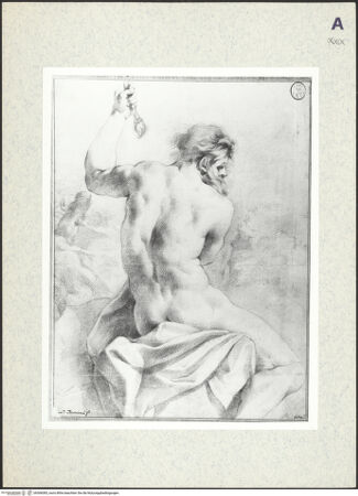 Vorderseite von bh366083_recto