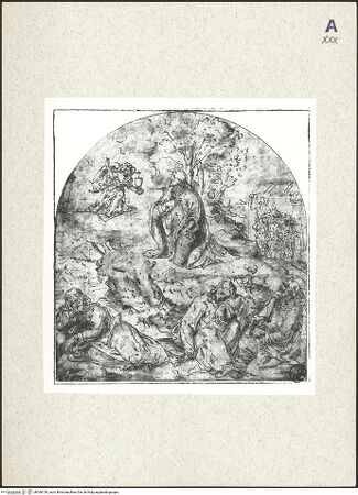 Vorderseite von bh366139_recto